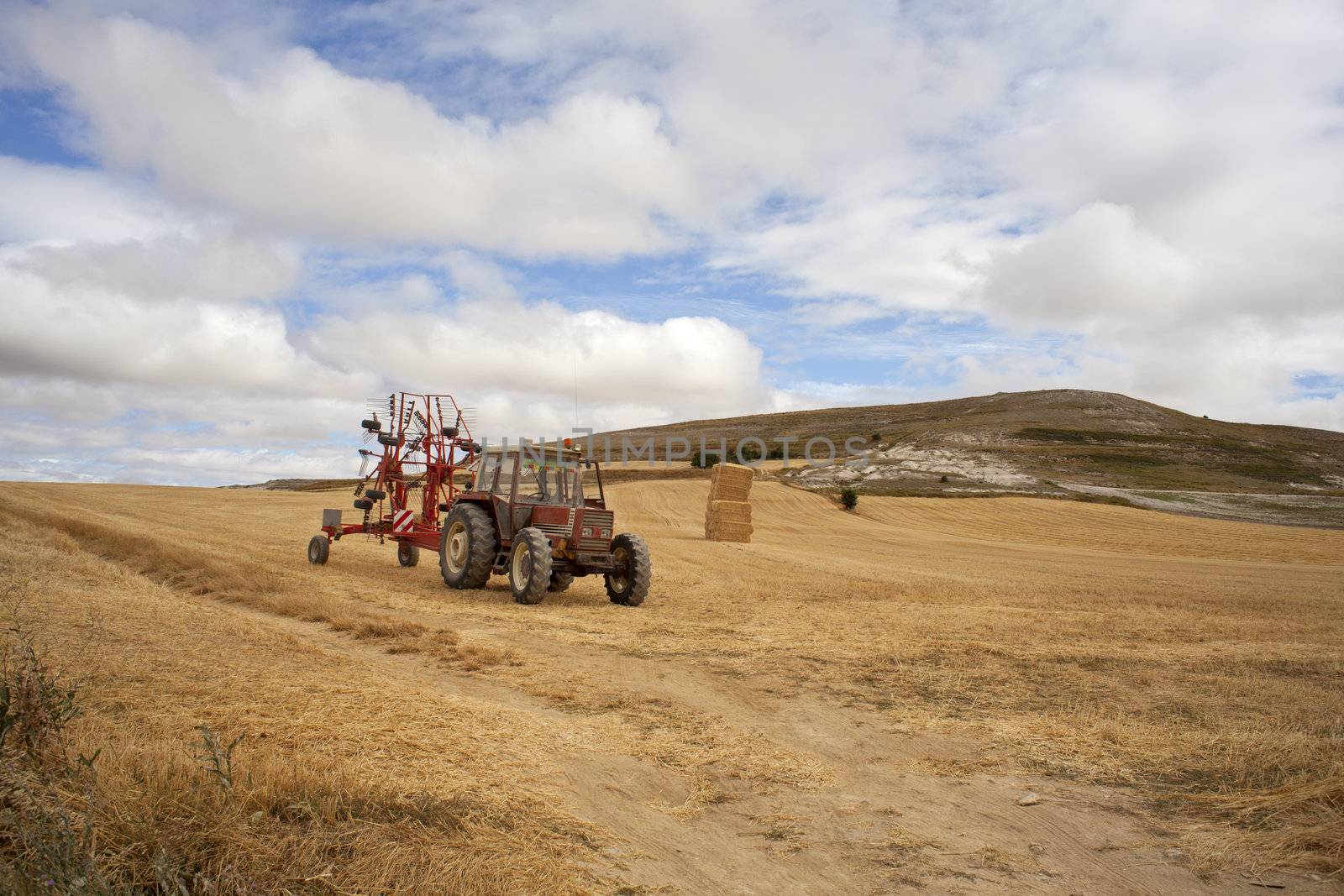 Tractor in a cornfield, spanish countryside