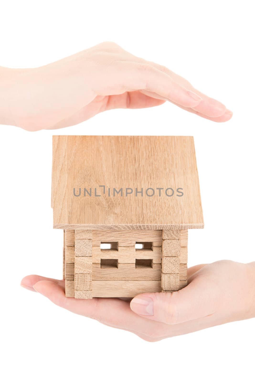 small wooden house in a female hands