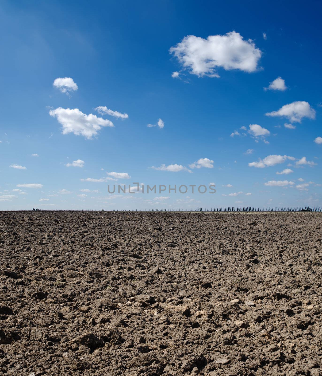 black field under deep blue sky