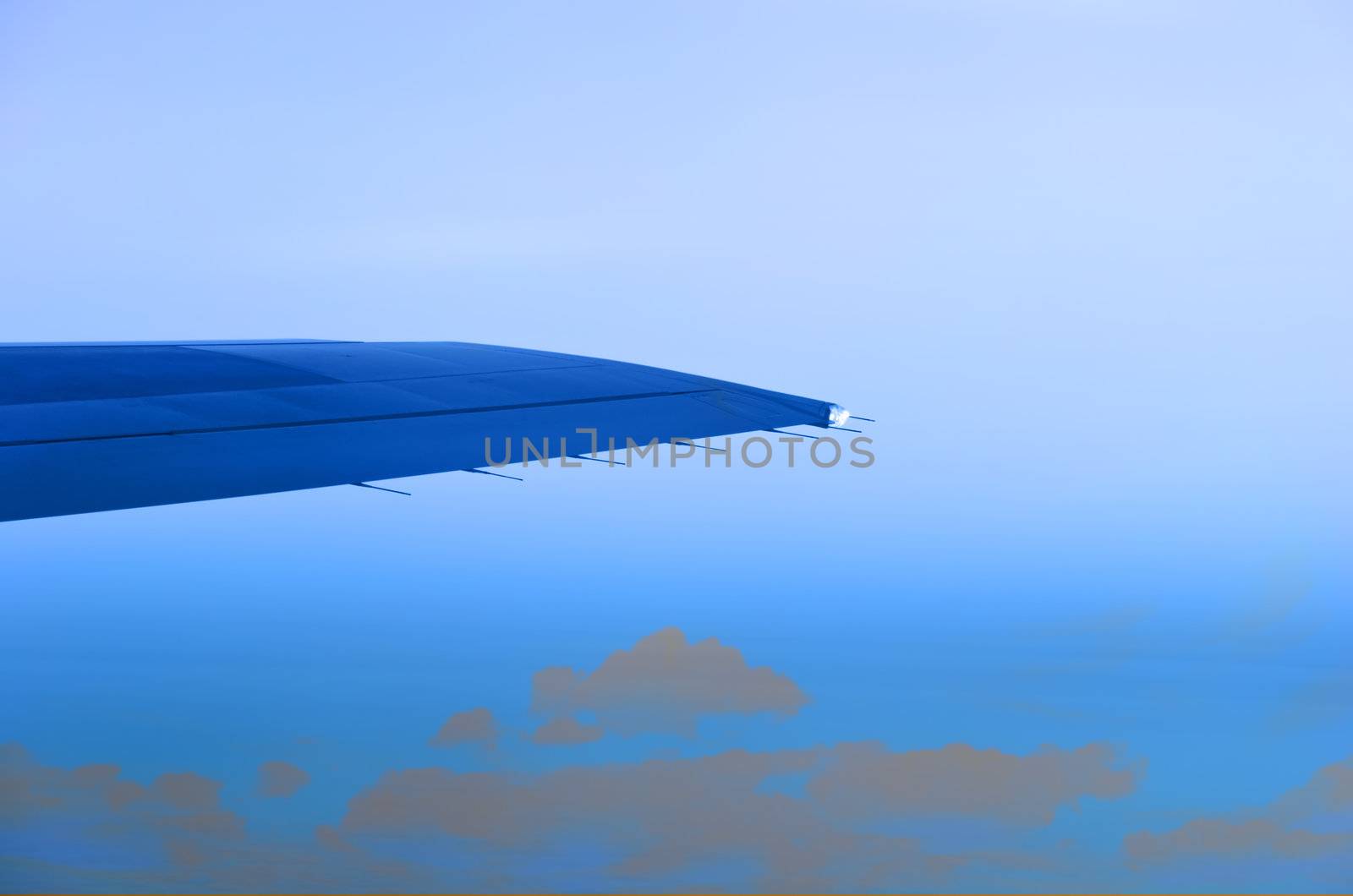 wing of an airplane  by Sergieiev