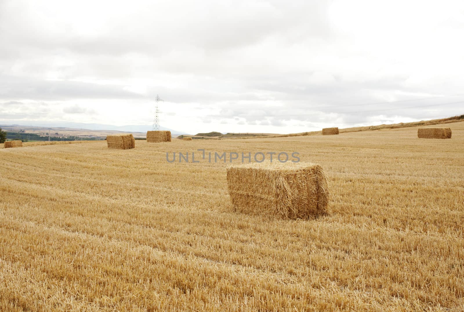 Bales of hay, spanish countryside