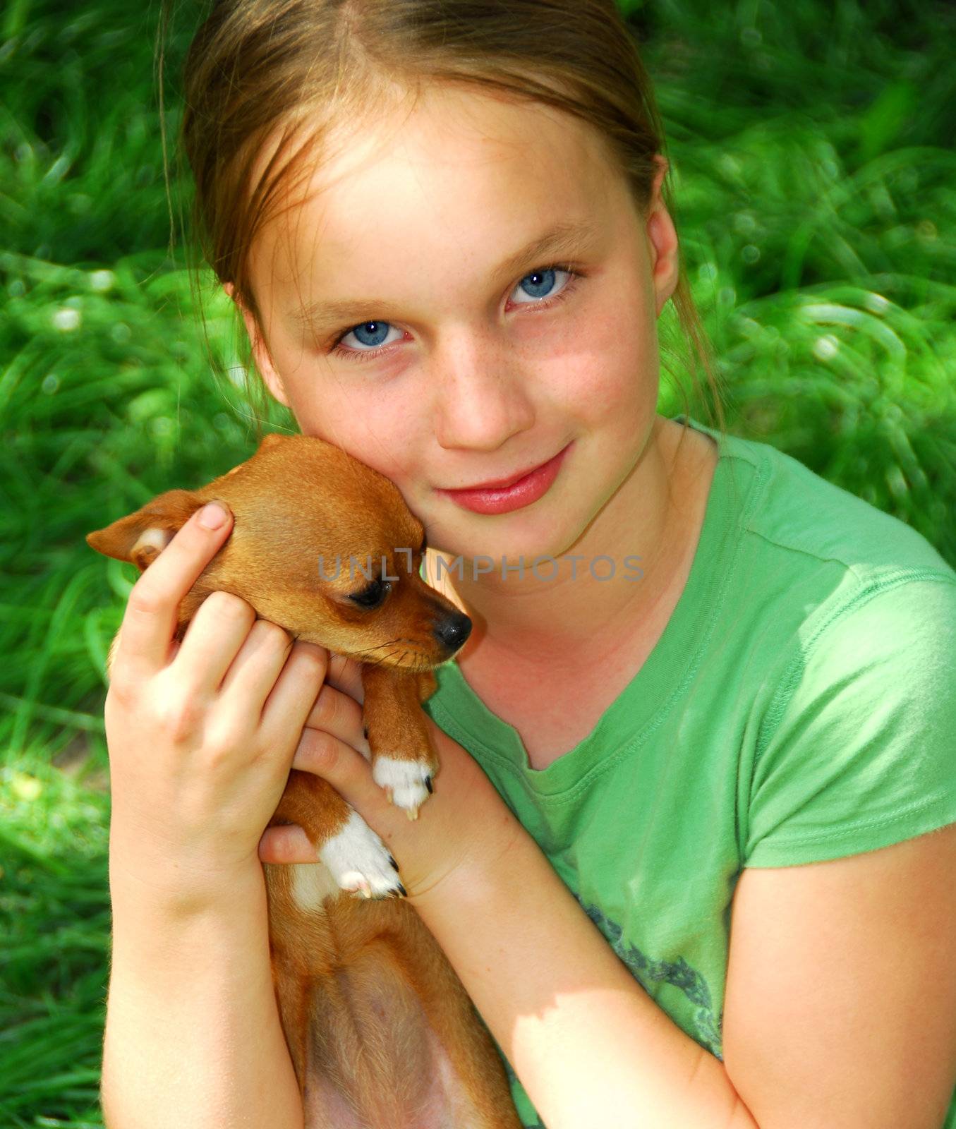 Smiling young girl holding a chihuahua puppy