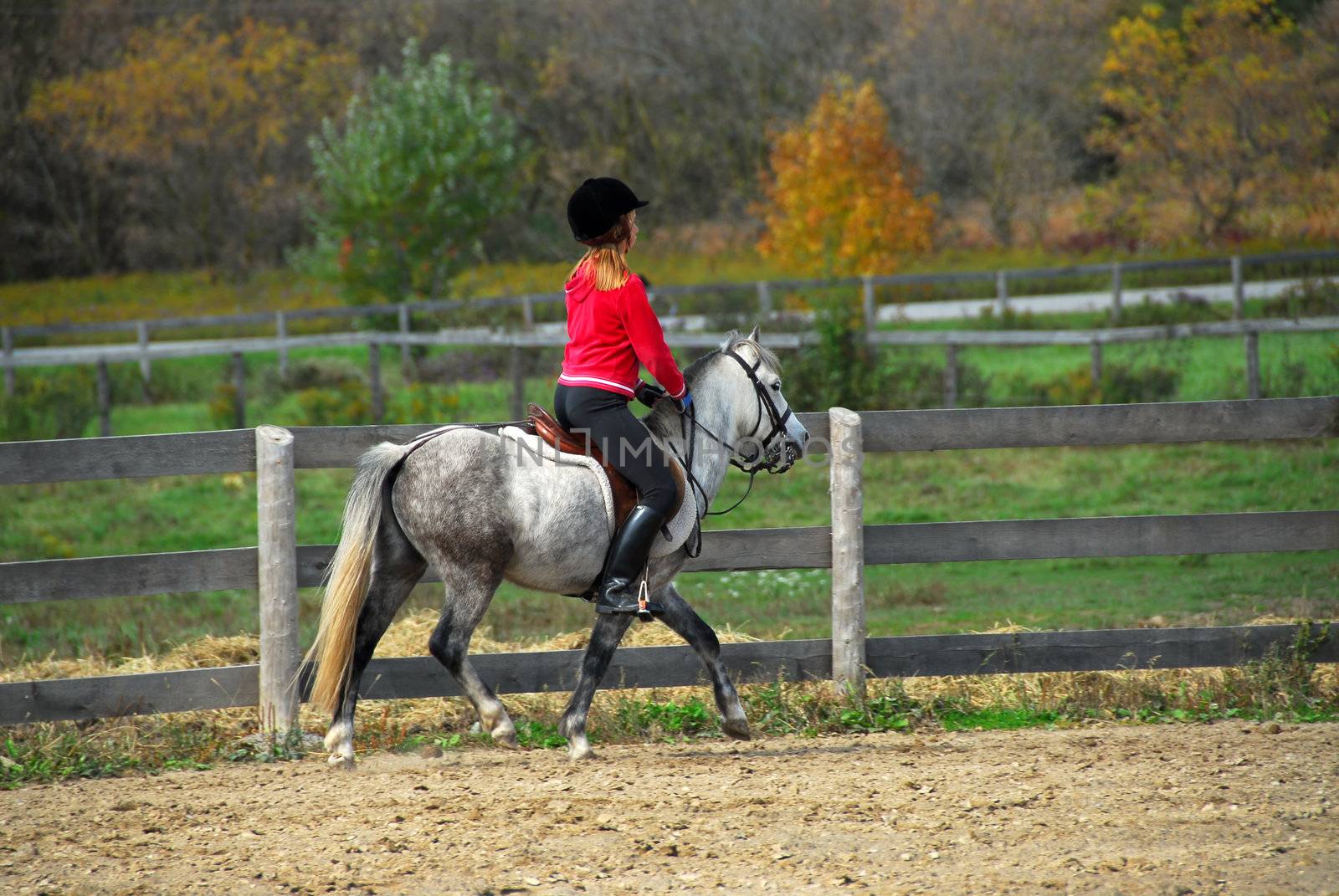 Young girl riding a white pony at countryside