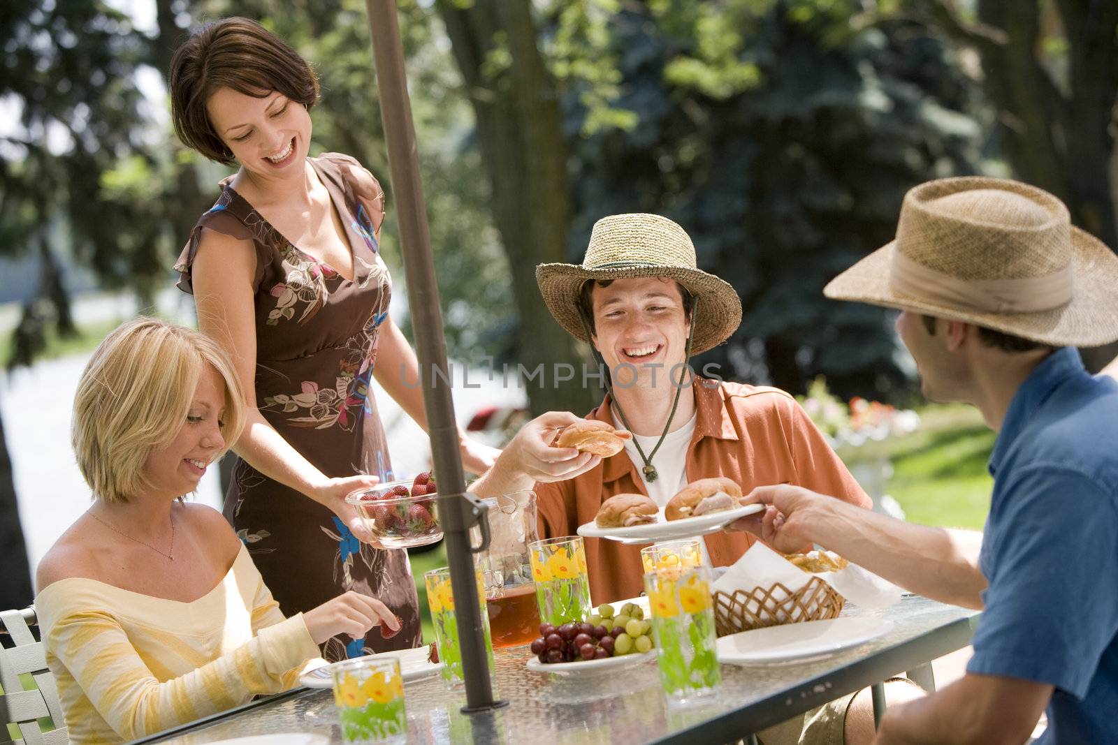 Happy young friends sharing a picnic in the summer