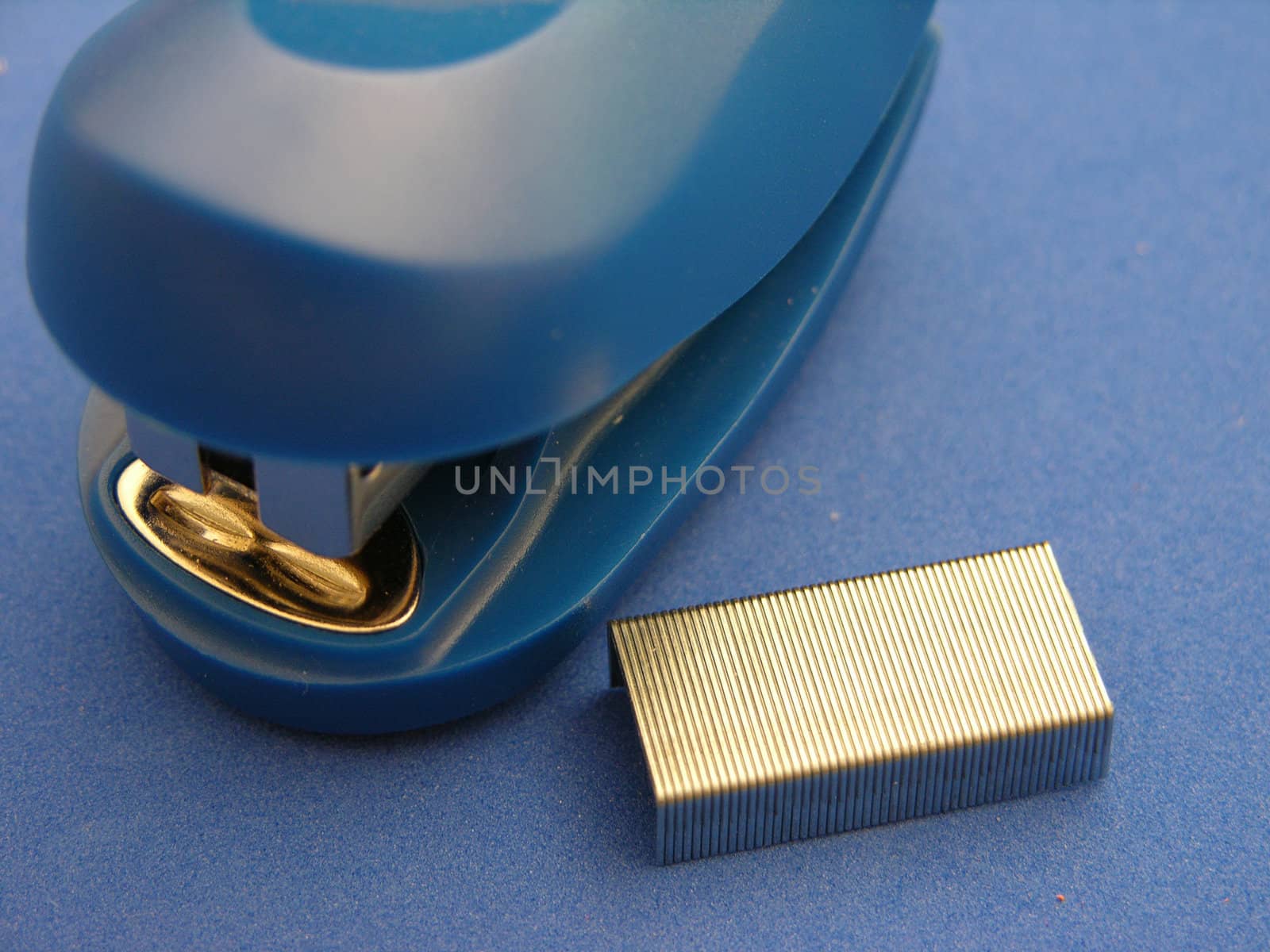           A blue stapler on a blue background