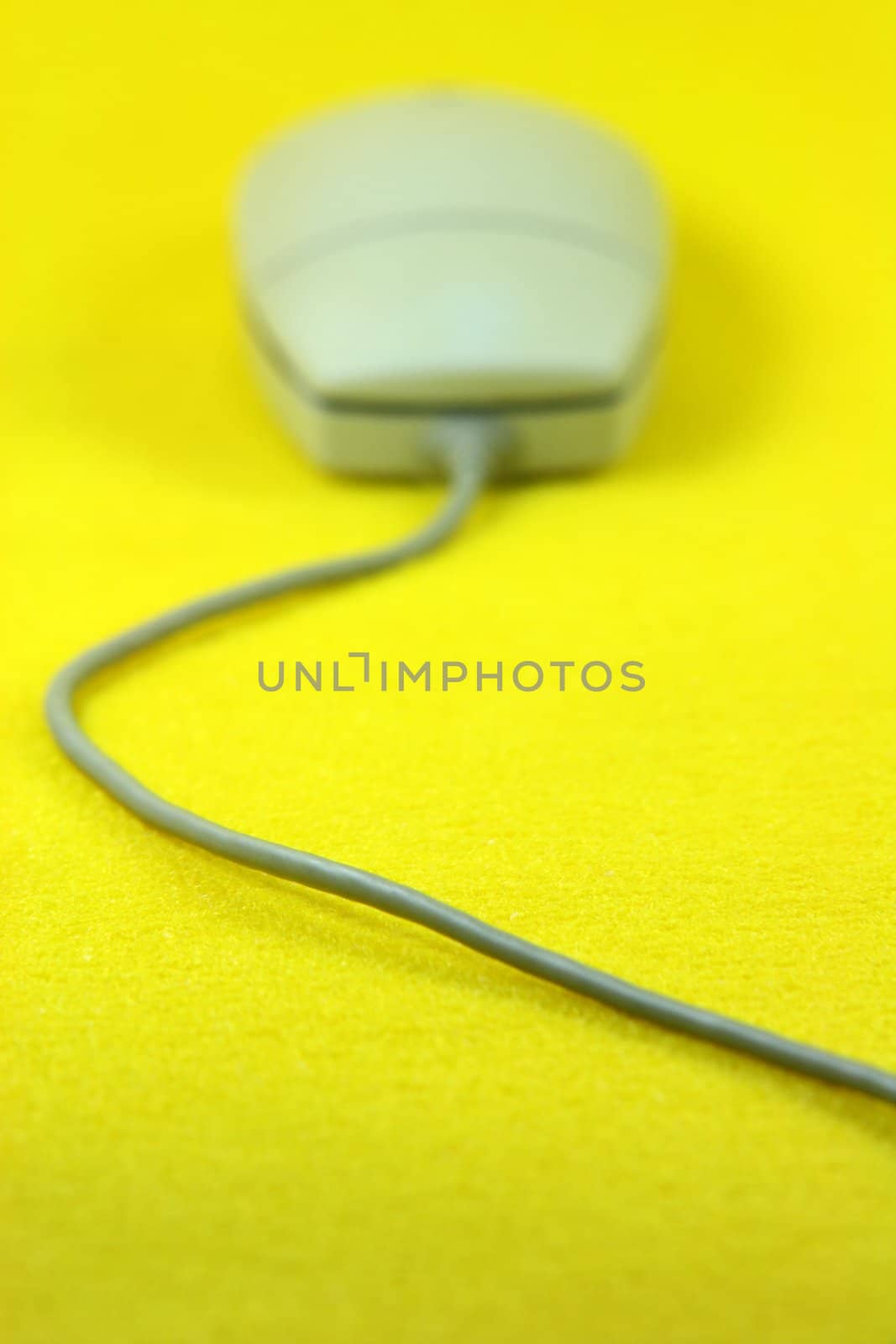 blur mouse in yellow background vertical