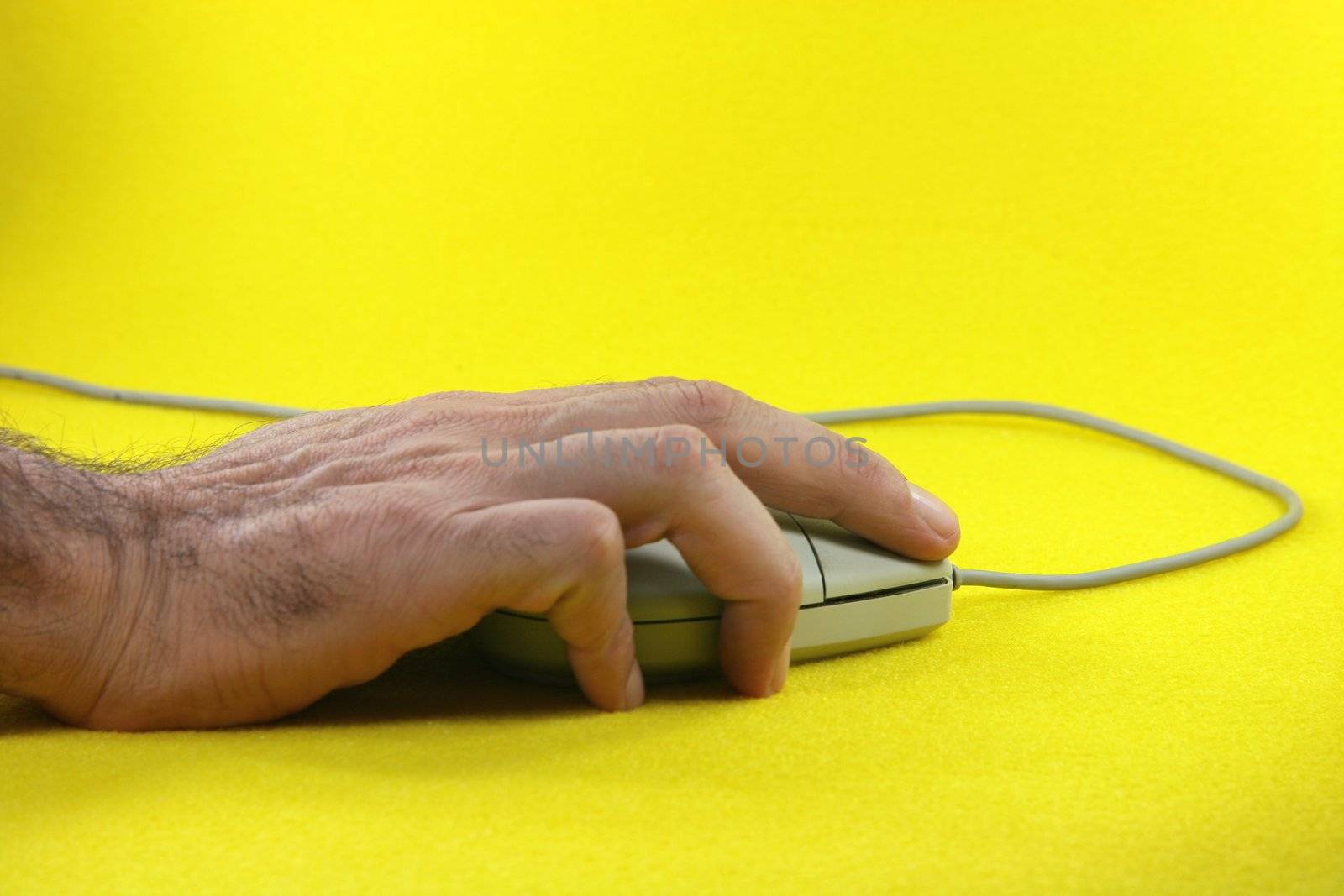hand holding a mouse in yellow background