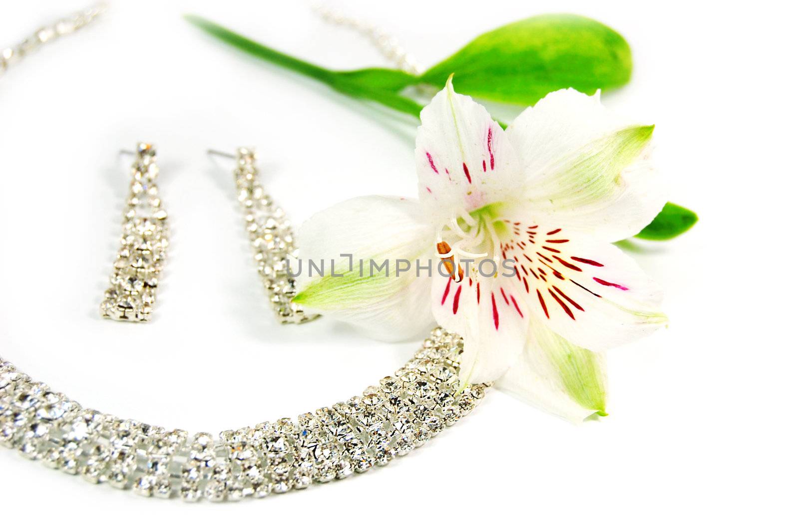 Wedding jewelery, laces, earrings and white flower