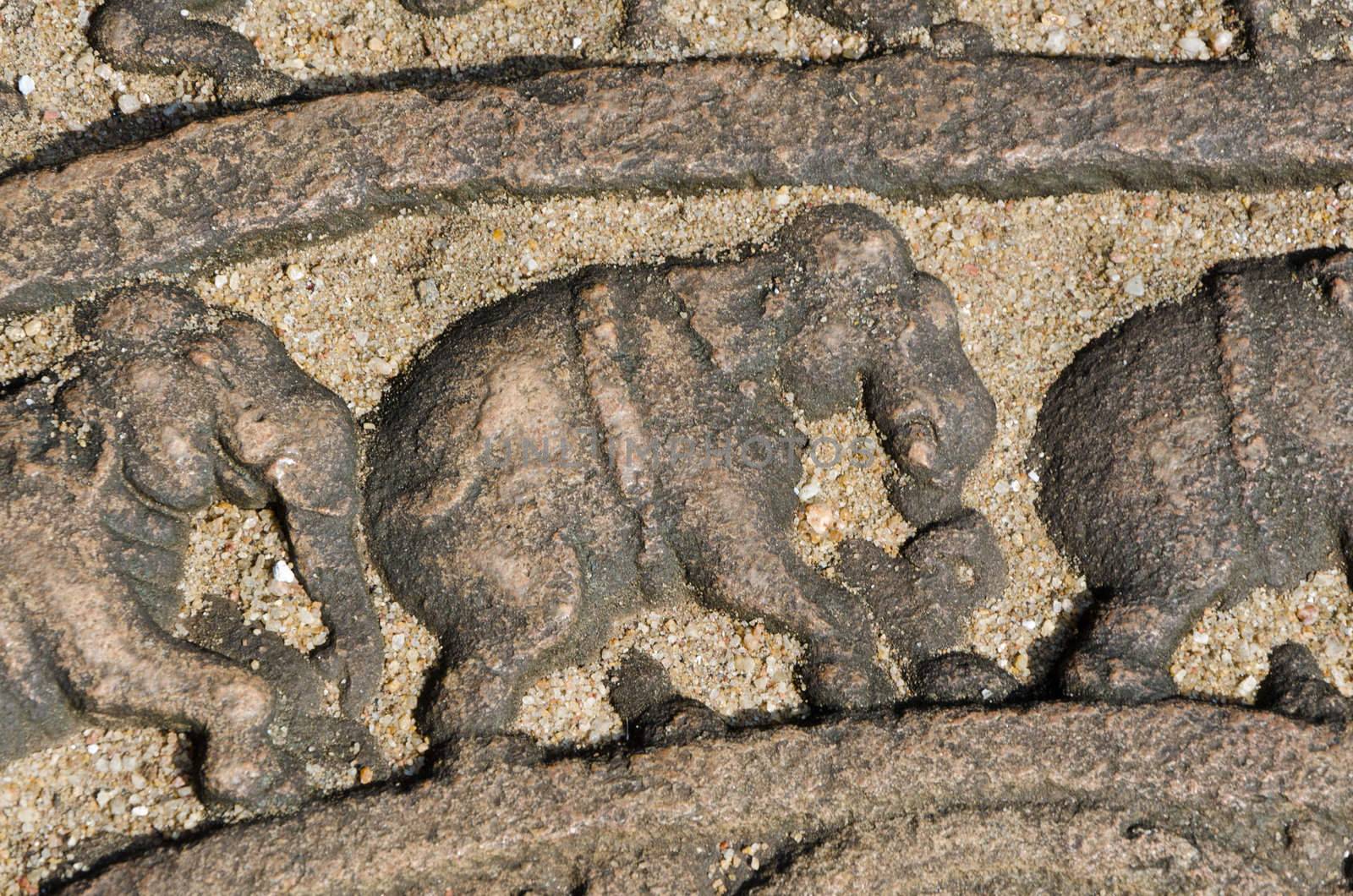 elephants on the lunar rock of ancient Vatadage by Sergieiev