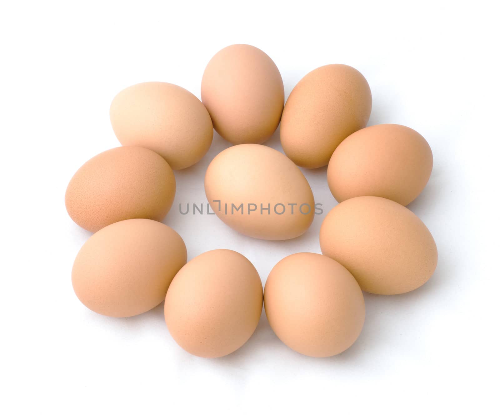 One in Nine cycle egg on white fabric background