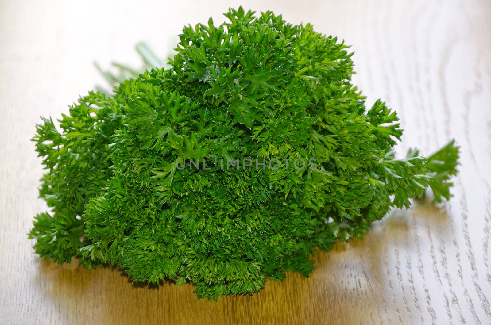 bunch of parsley, close-up by Sergieiev