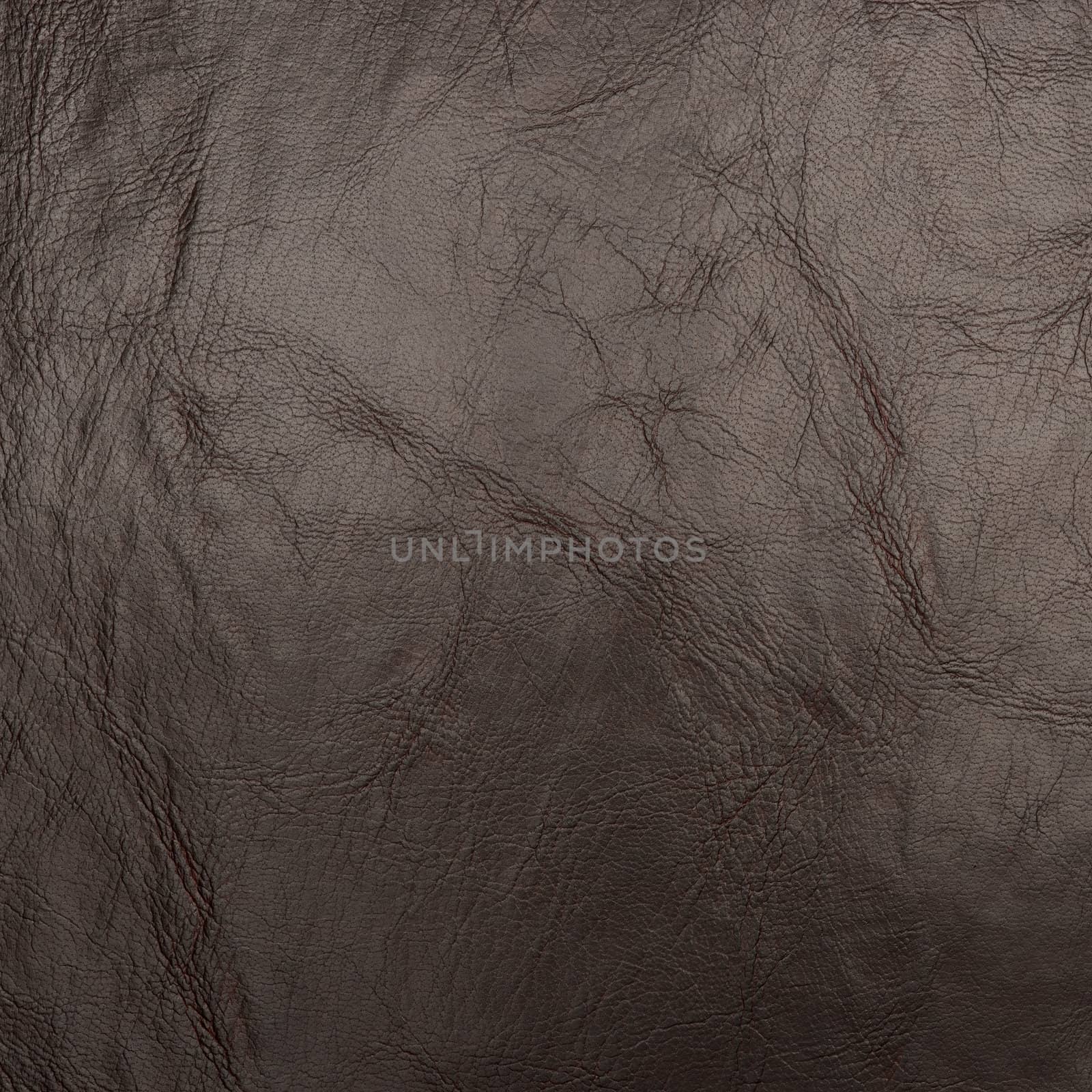 backgrounds of leather texture