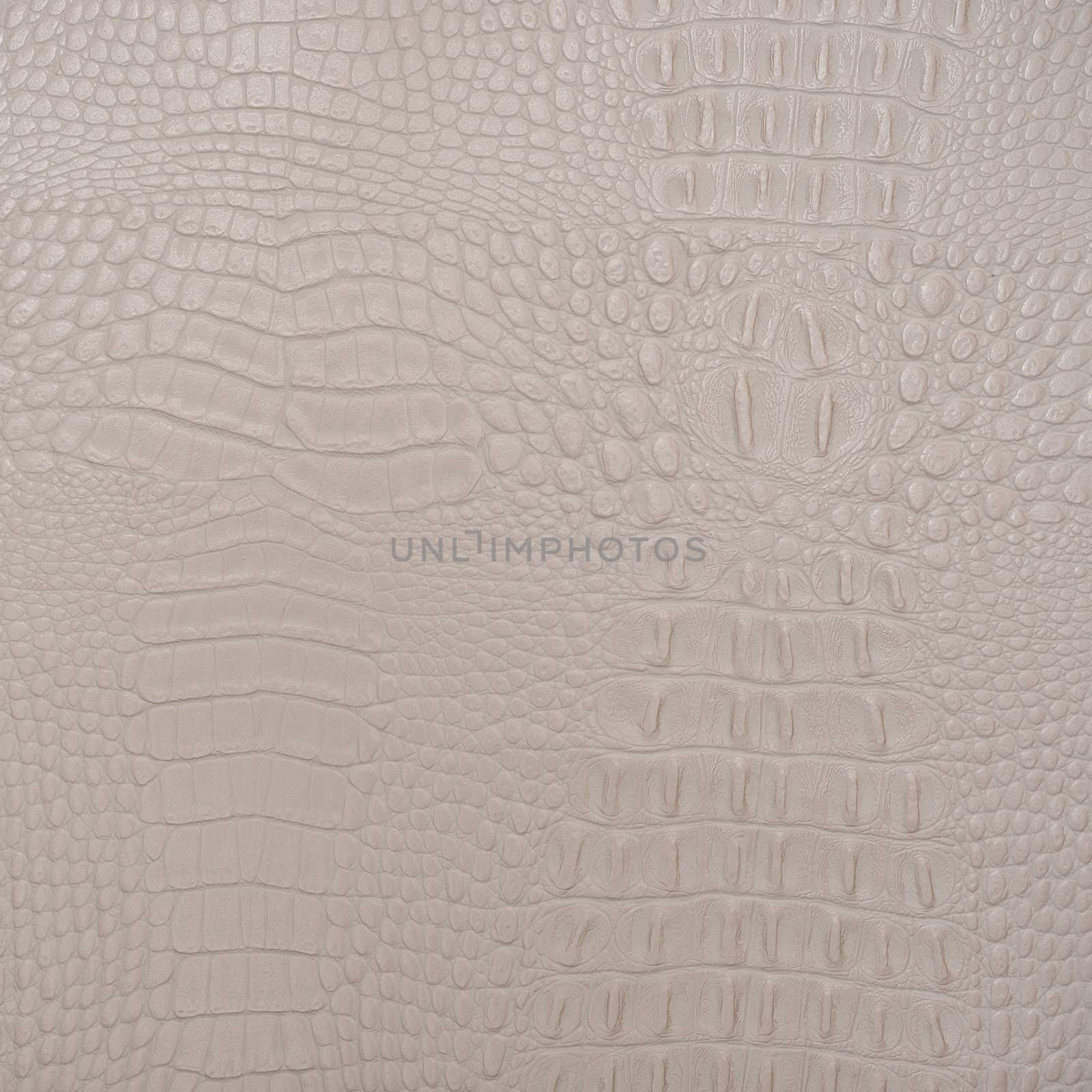 backgrounds of leather texture