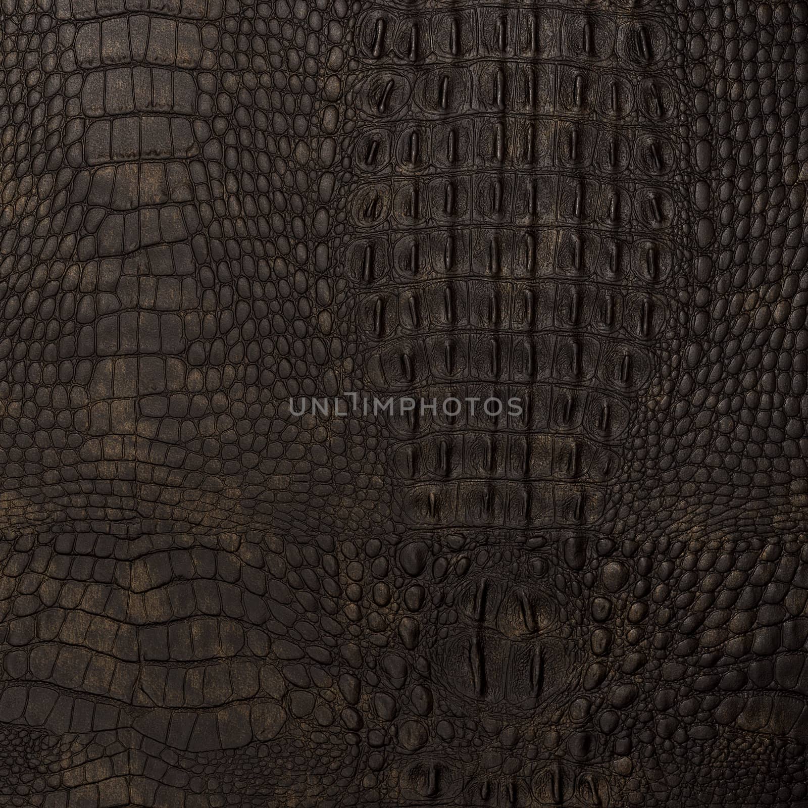 backgrounds of leather texture