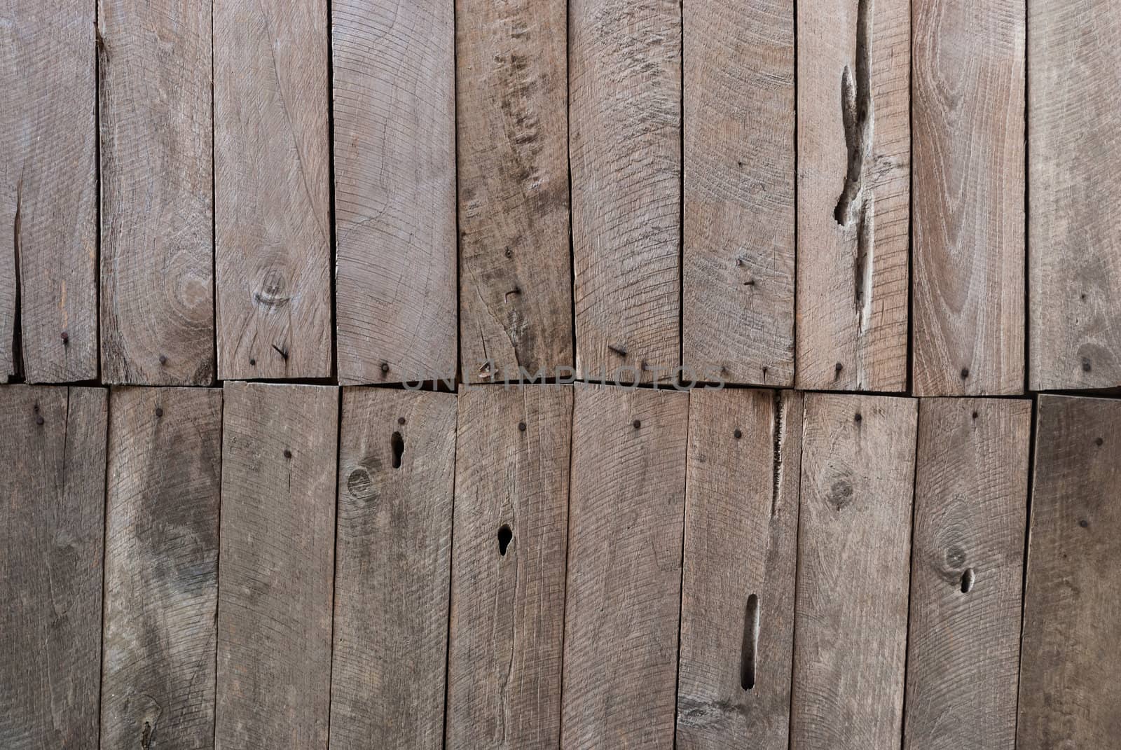 Wood background / Wood texture