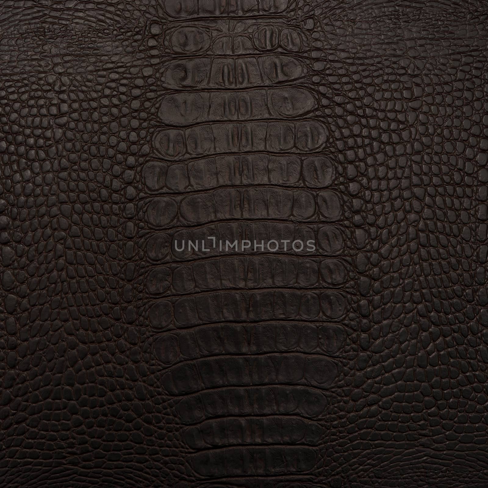 backgrounds of leather texture