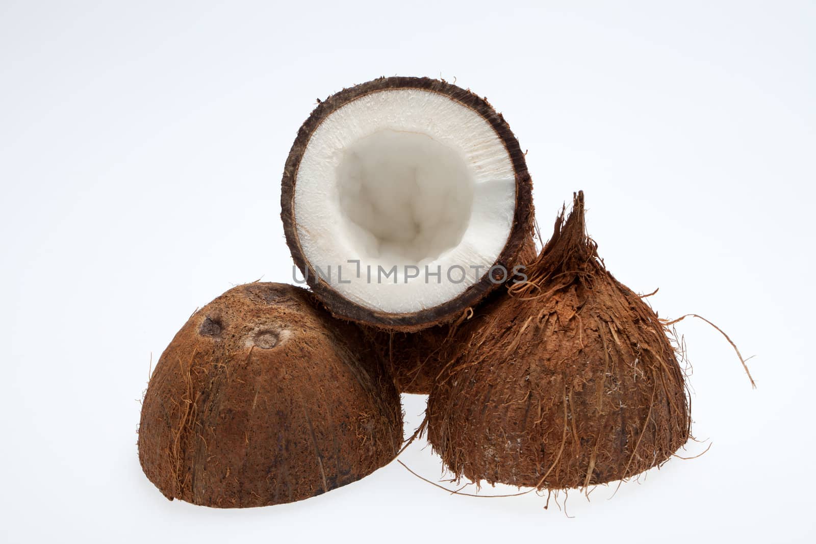 coco nut isolated