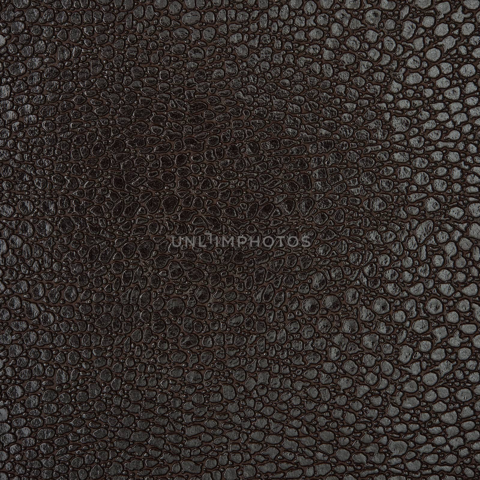 backgrounds of leather texture
