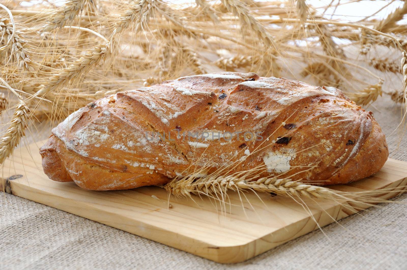 Bread with fried onions, spices and chili on a wooden board with spikes