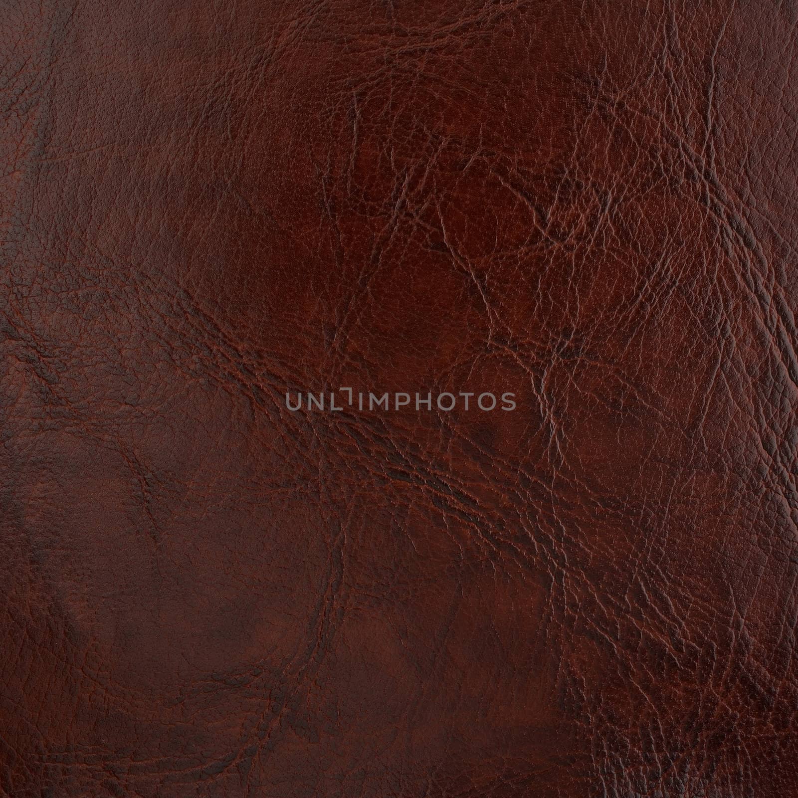 backgrounds of leather texture