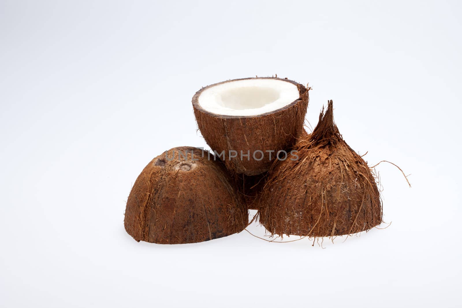 coco nut isolated