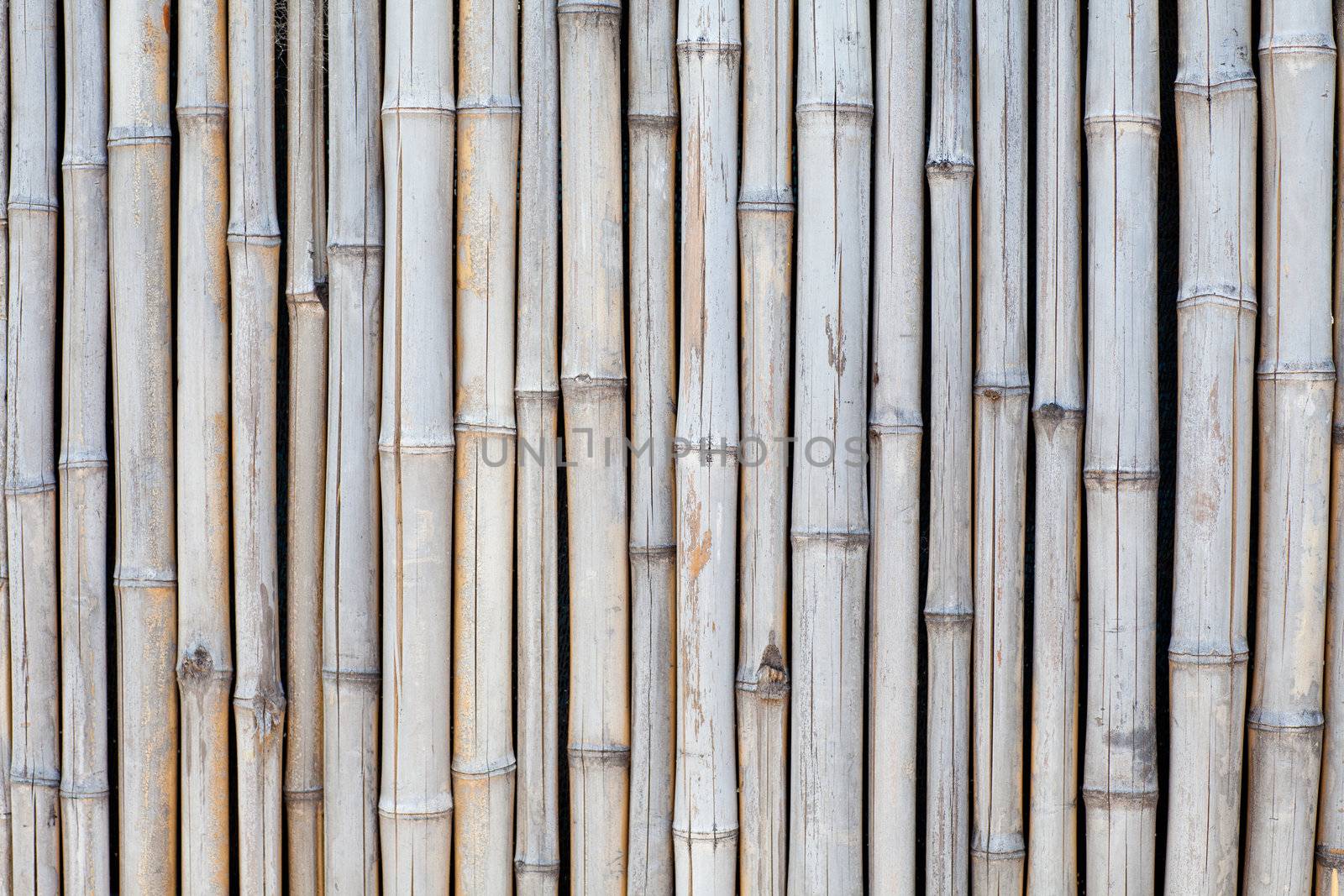 background of bamboo by vsurkov