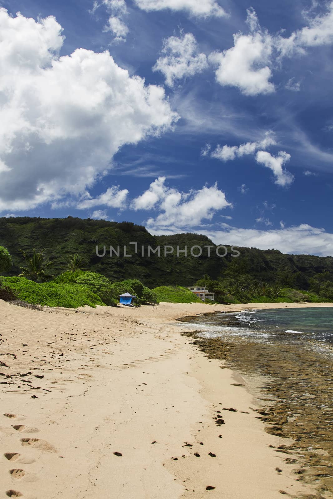 Hawaiian beach by mypstudio