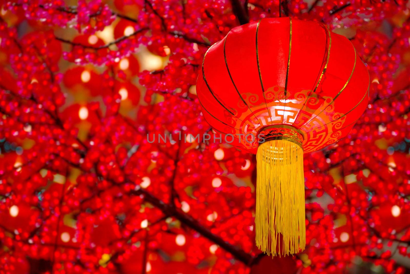 Chinese lanterns by yuliang11