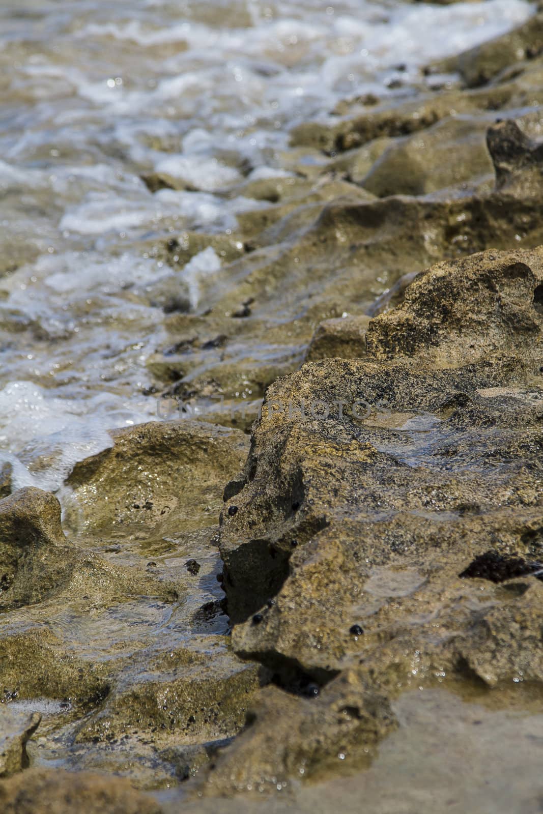 Rocky shore by mypstudio