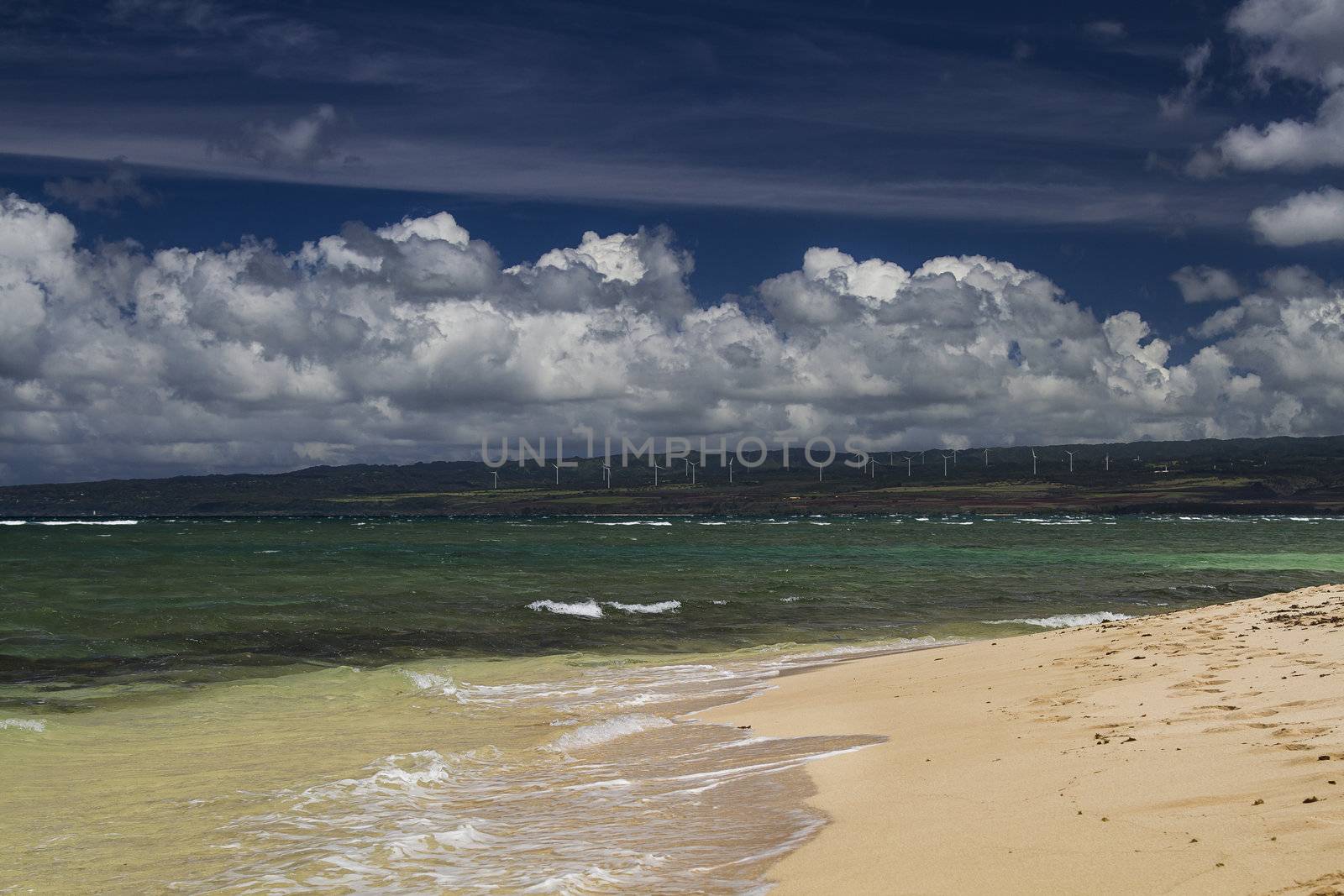 Beach side view overlooking a windmill farm