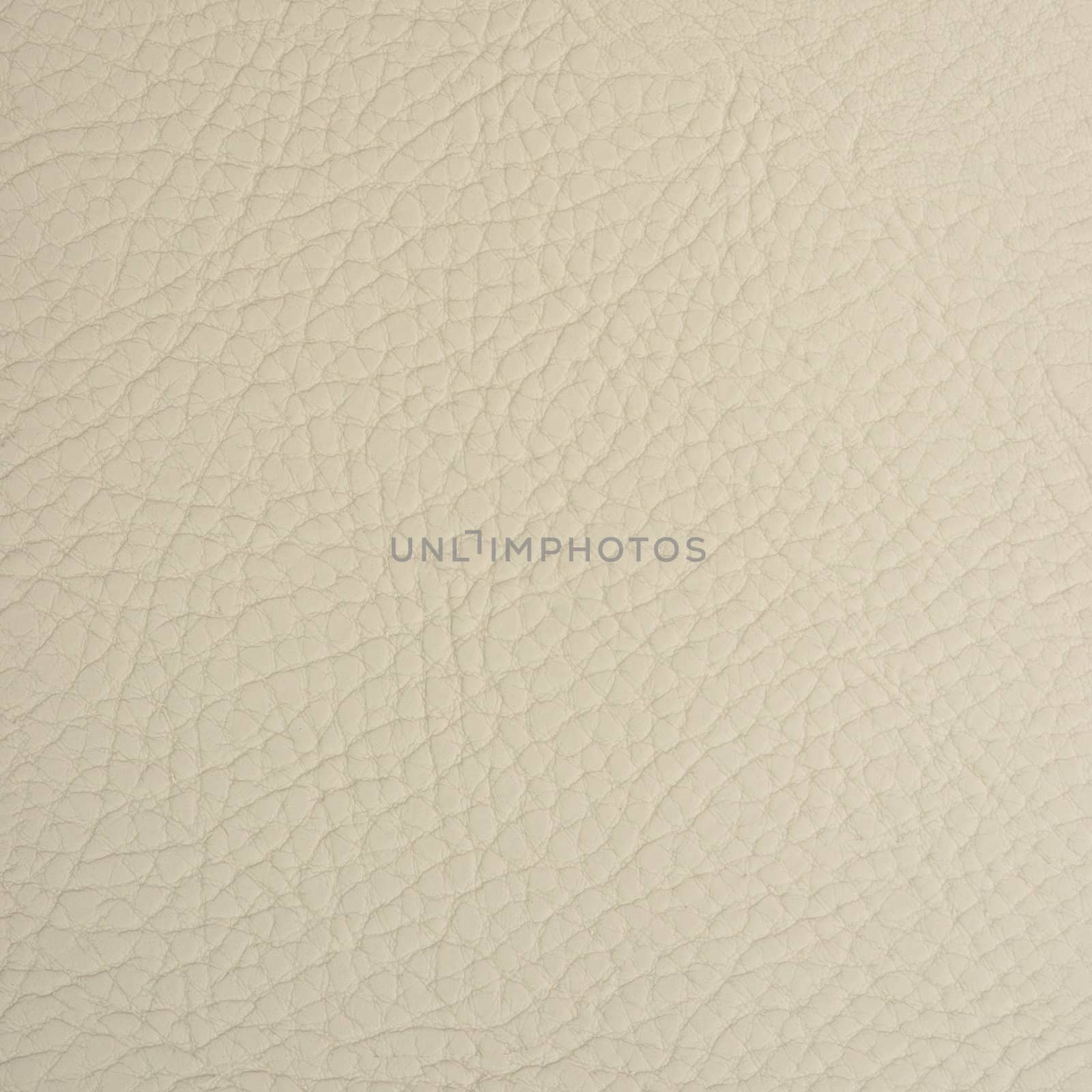 backgrounds of leather texture