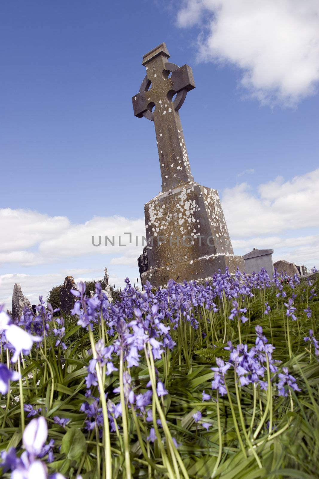 old ancient Celtic graveyard with unmarked gravestones and bluebell flowers in Ireland