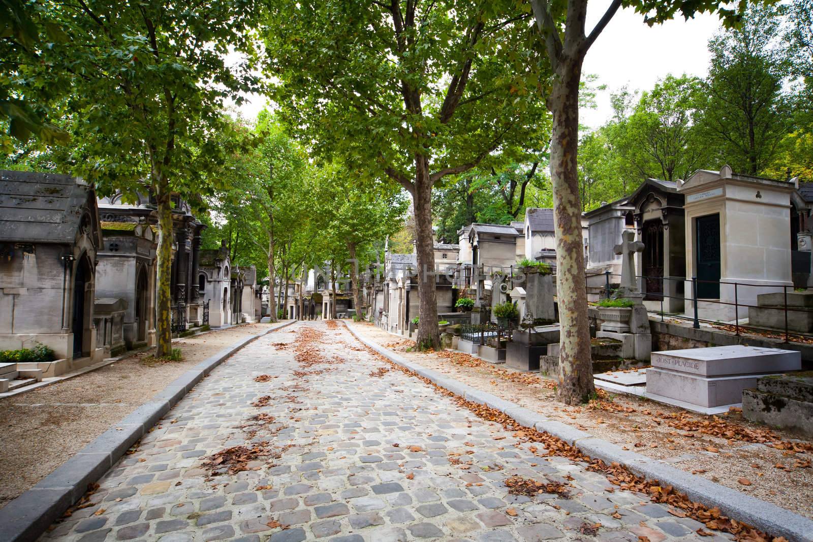 Cobbled alley at Pere Lachaise cemetery by furzyk73