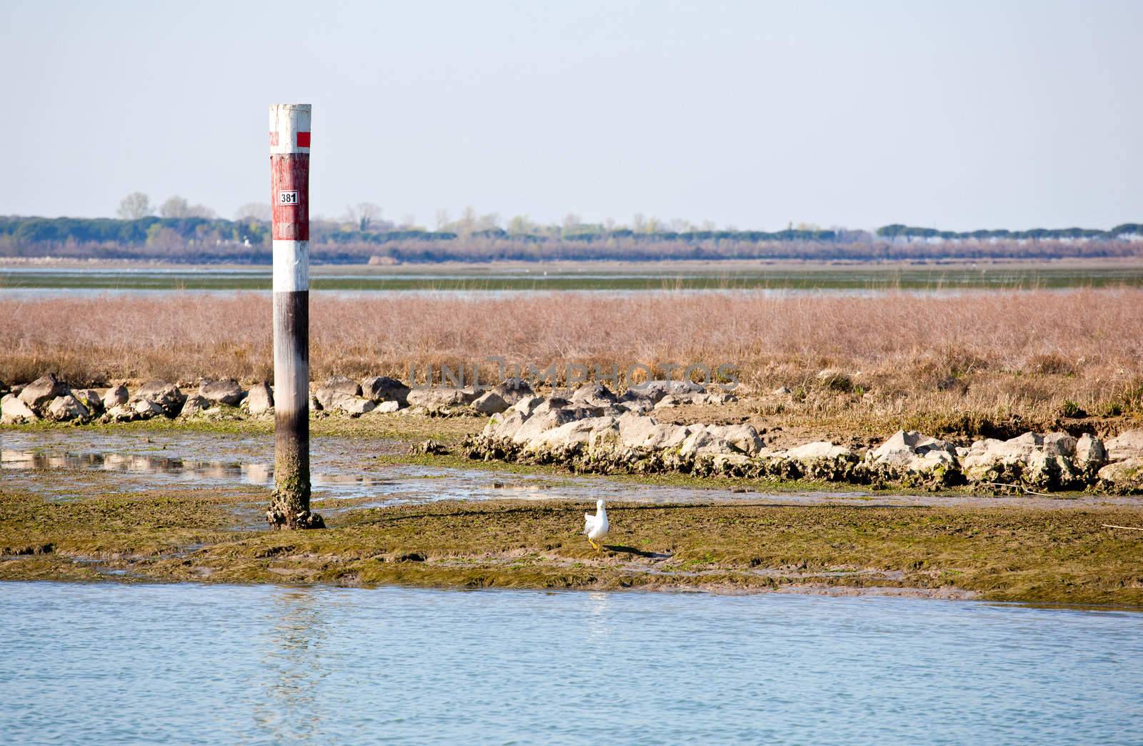 Grado lagoon, Friuli Venezia giulia - Italy