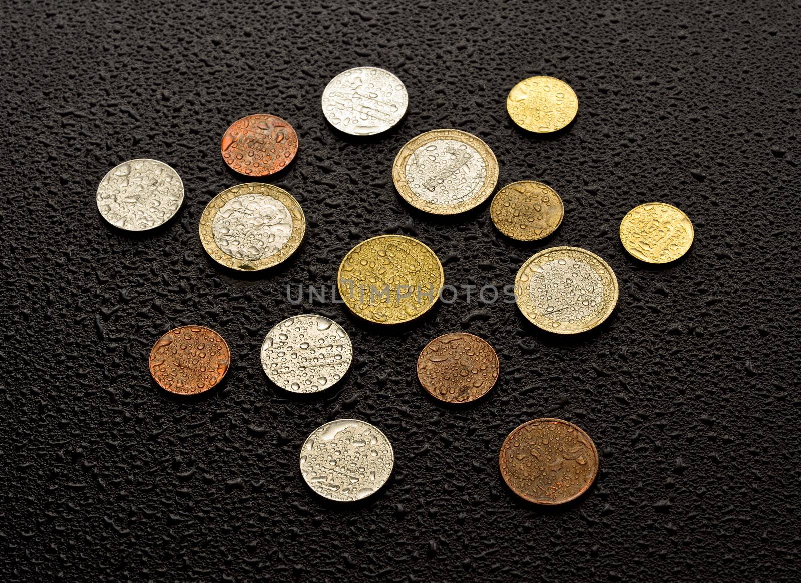 Euro coins by silent47