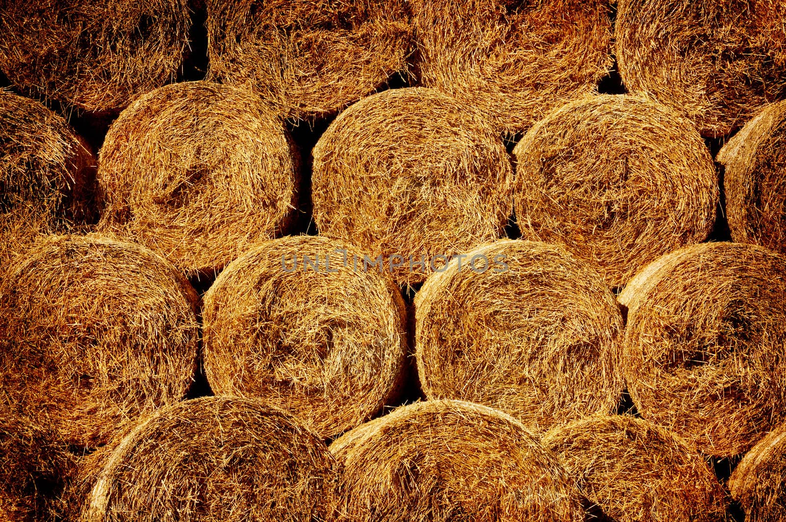 Bales of hay in grunge