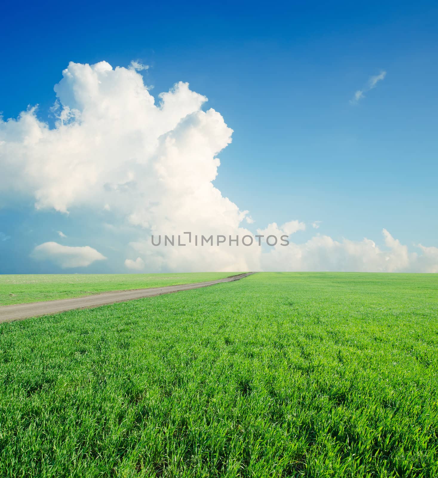 summer landscape with green field and blue cloudy sky