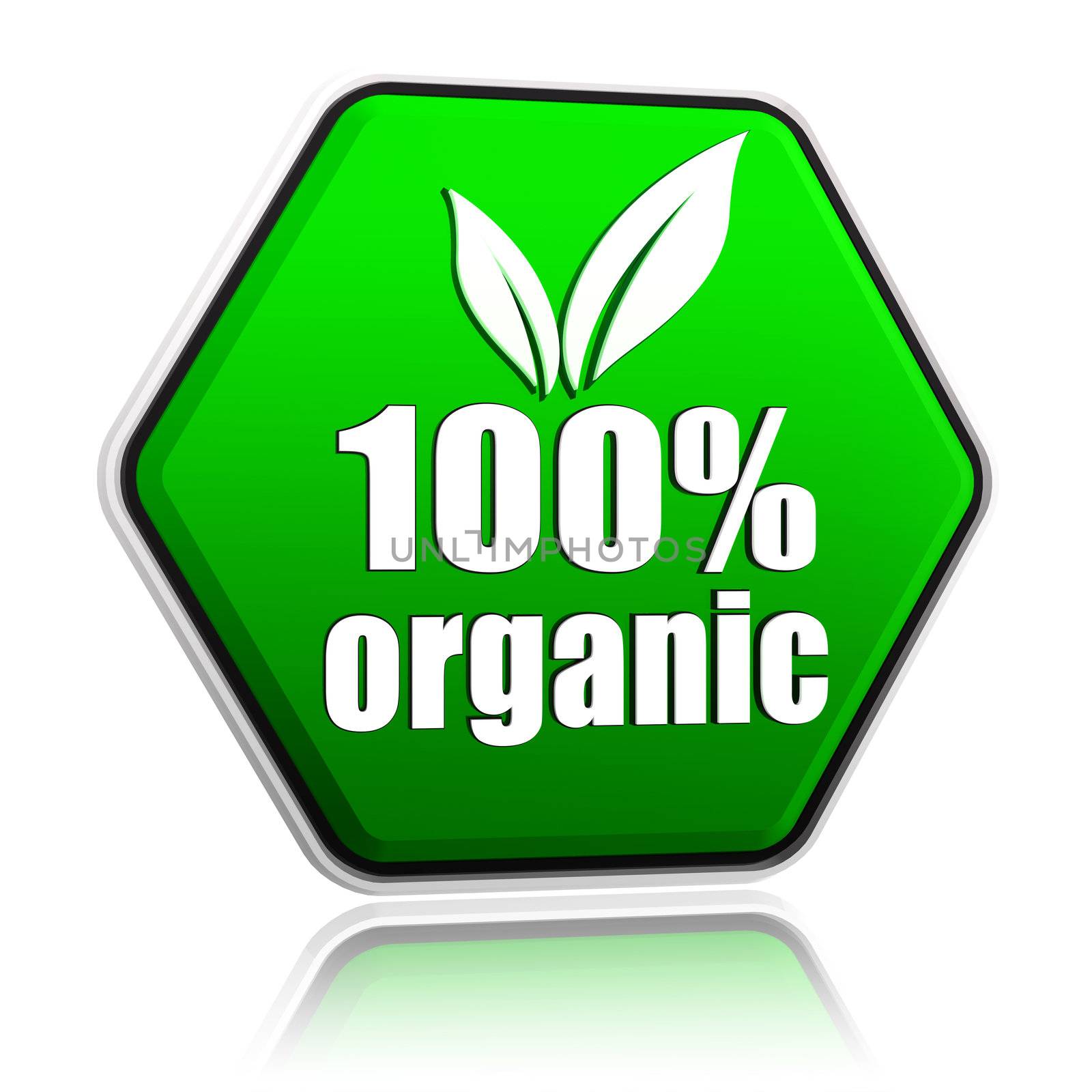 100 percentages organic with leaf sign button - 3d green hexagon banner with text, eco bio concept