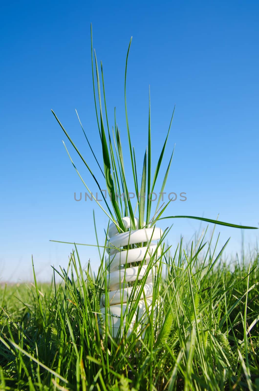 energy saving lamp in green grass under blue sky by mycola