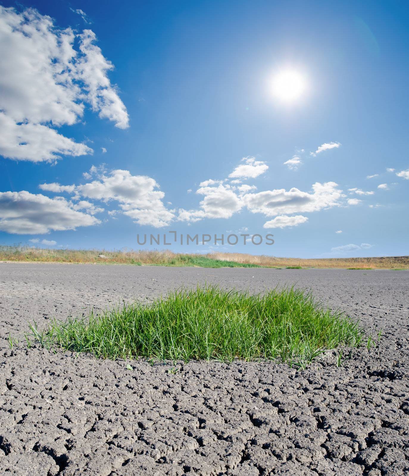 sun over drought land