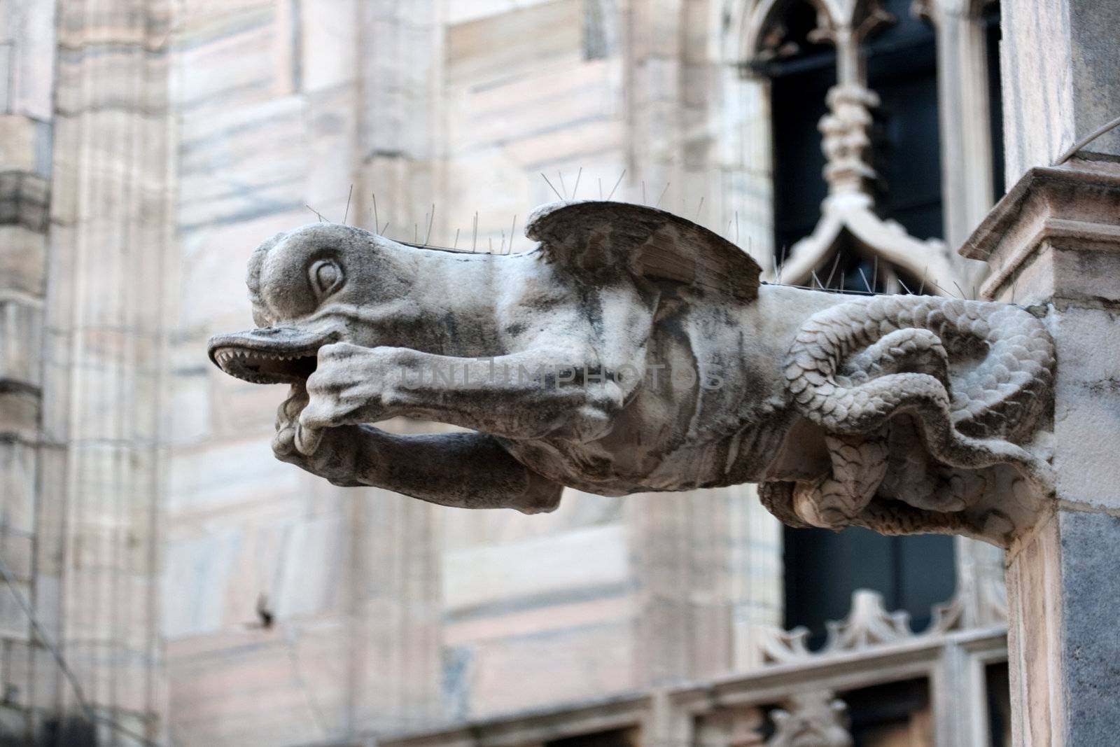 Monster, statue on the Milan cathedral - Italy