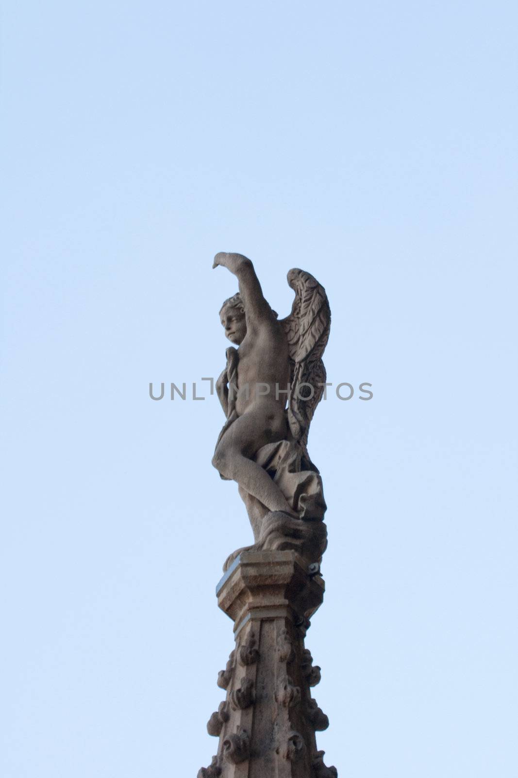 Statue of an Angel wings on the spire, Milan cathedral - Italy