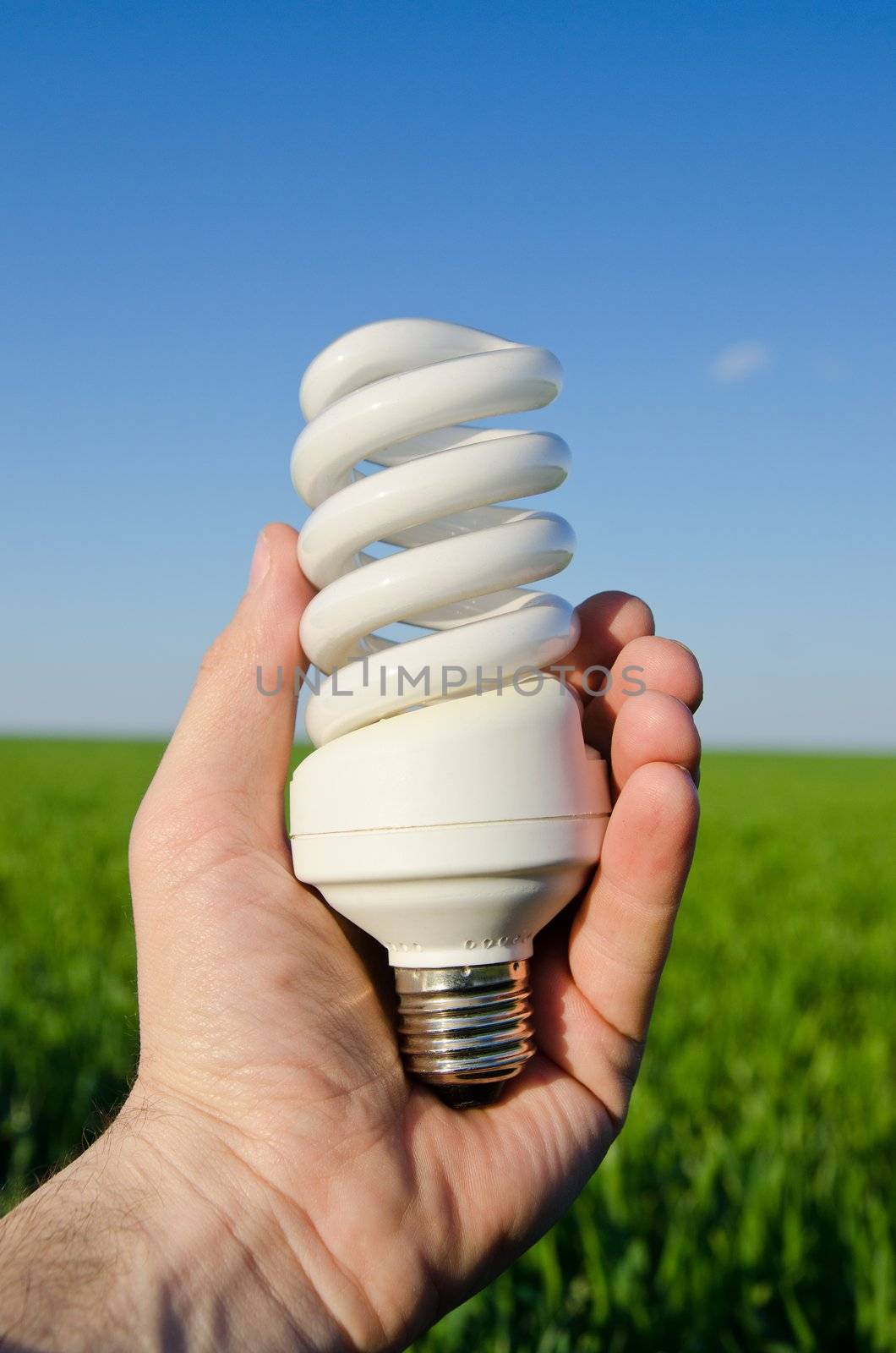 energy saving lamp in hand