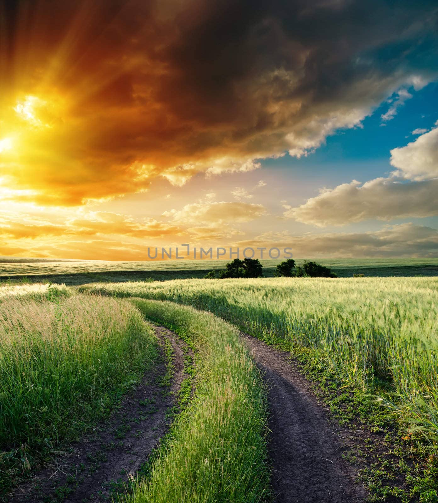 dramatic sunset over road to horizon by mycola