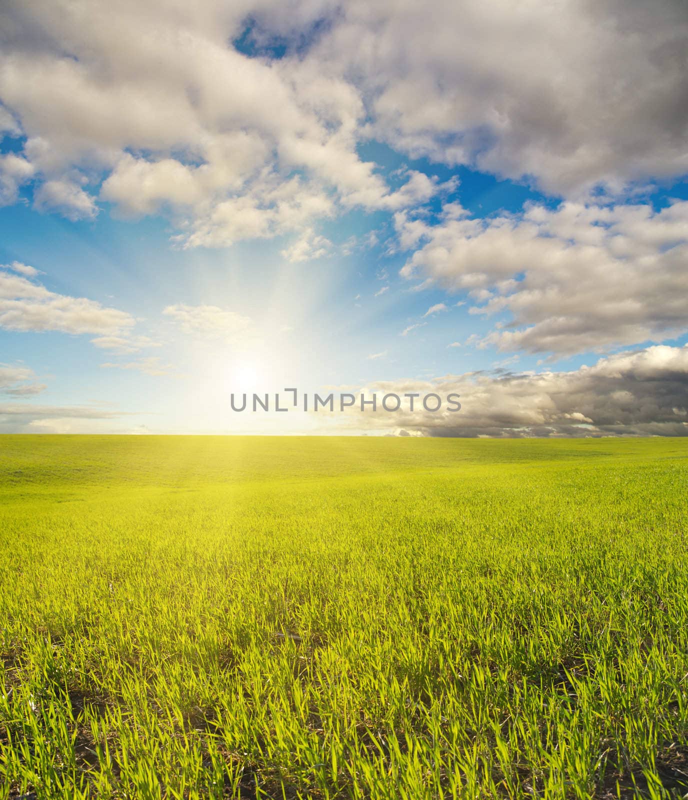 sun over green field by mycola