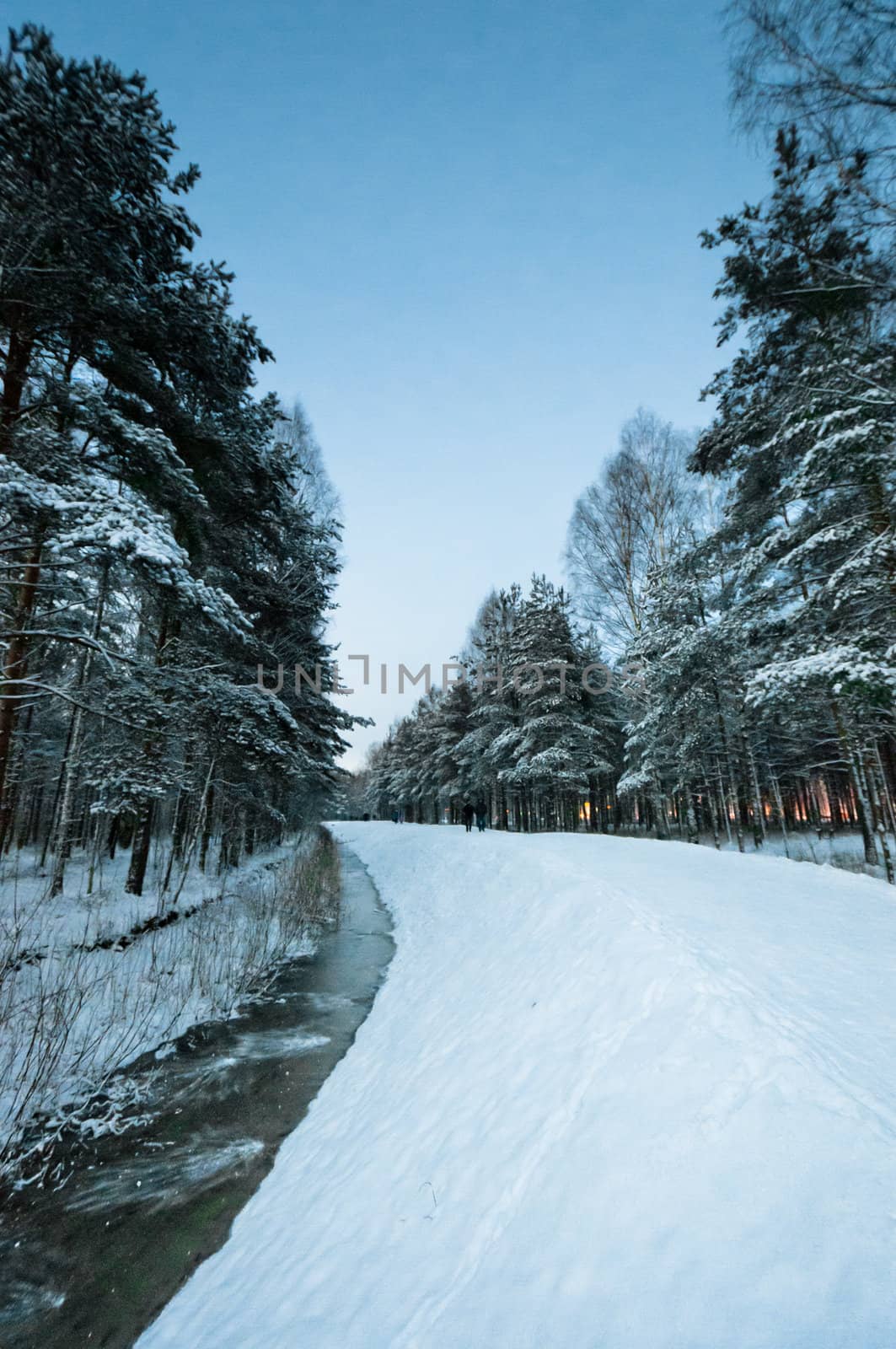 Creek in snowy wood by dmitryelagin