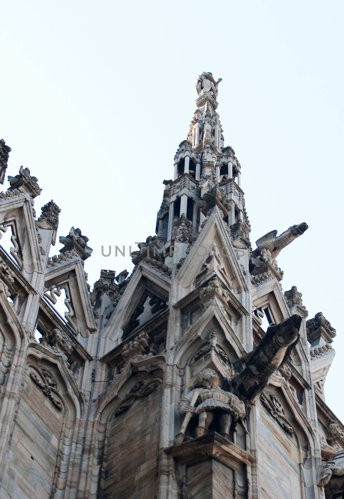 Detail of the Milan cathedral - Italy