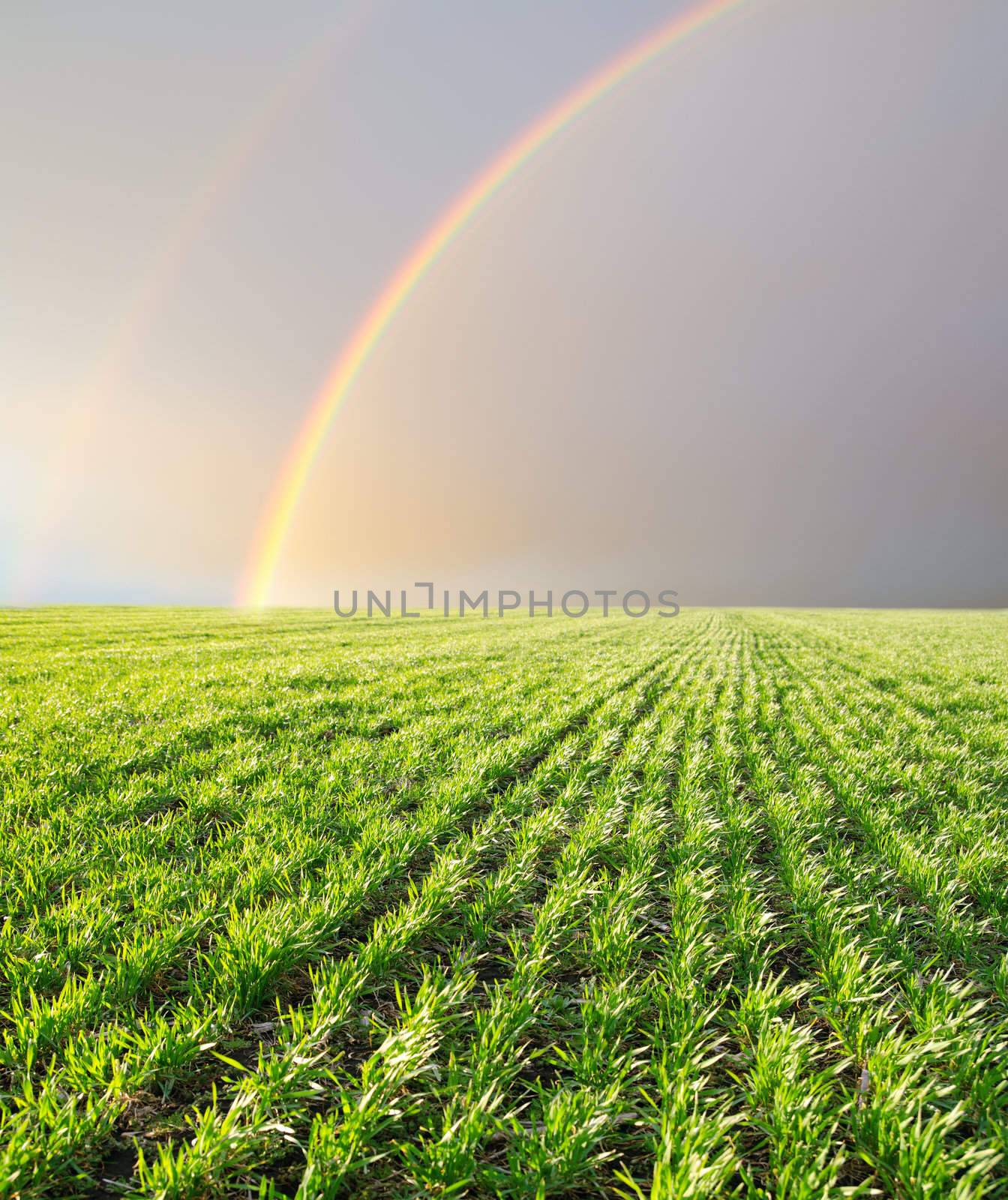 Landscape with a rainbow by mycola