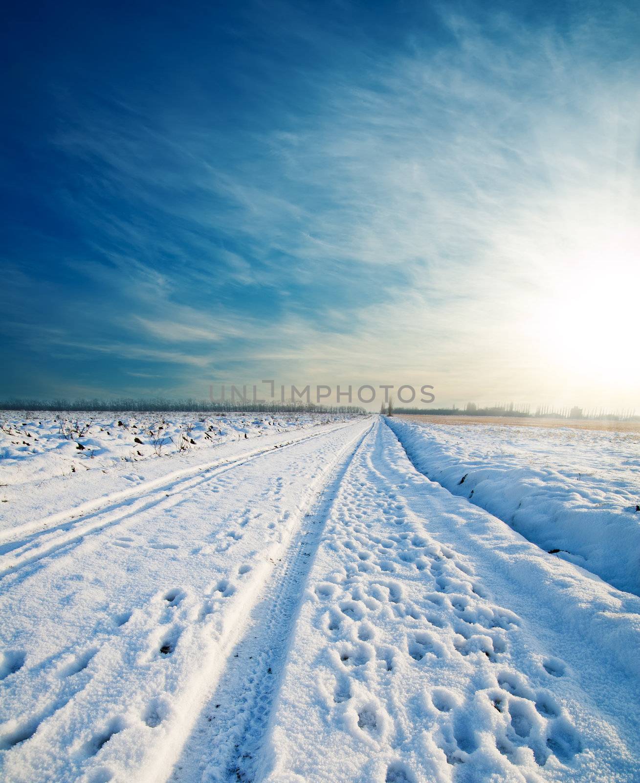 rural road under snow by mycola
