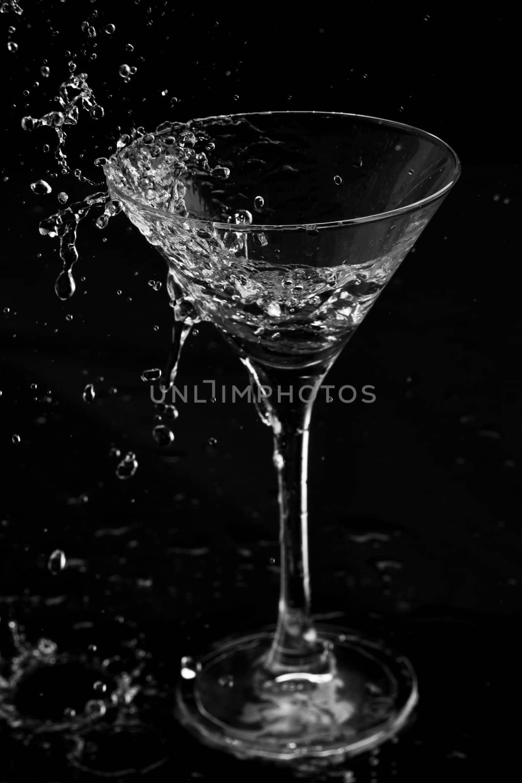 food series: fresh cocktail splash over black